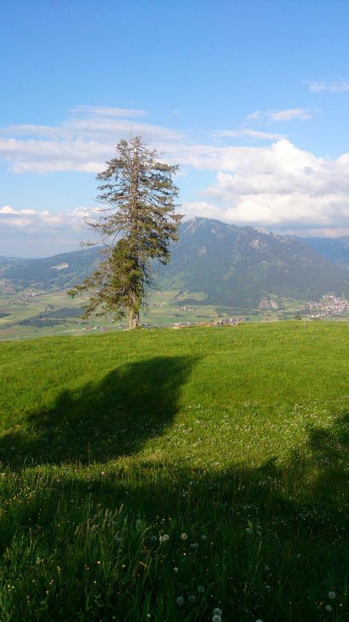 Ferienwohnung Schönau Immenstadt im Allgäu Exterior foto